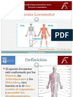 Aparato Locomotor