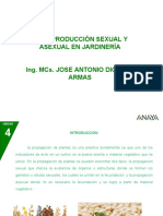 Reproduccion Sexual y Asexual en La Jardineria