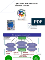Funciones Ejecutivas Tea