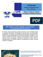 Unidad II. Tema 2 - Parte 2 - Tronco Encefalico y Medula Espinal.