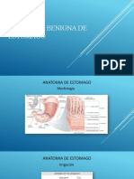 Patología Benigna de Estomago Javier Lopez