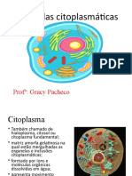 Identificação Das Organelas e Suas Funções - Gracy