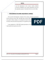 NSDL (National Securities Depositories Limited)