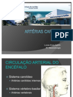 Anatomia Das Artérias Carótida Comum, Carótida Externa