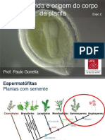 Aula 2 - Origem e Organização Do Corpo Da Planta Sistematitica