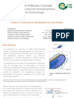 Práctica Extracción de ADN Plasmídico Por Lisis Alcalina