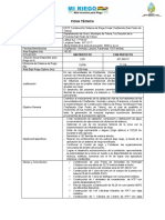 Ficha Técnica y Resumen Ejecutivo Chojñacota