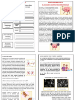 Ficha Informativa El Cerebro 2022