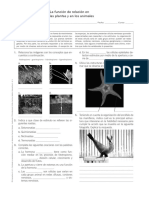 Ficha de Refuerzo Funcion de Relacion en Plantas y Animales