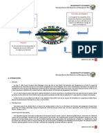 MDRRM Plan Ramon, Isabela (2019)