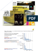 05a Ecofisiologia Del Cultivo de La Papaya Eliemar Campostrini 1469700911 C0e72