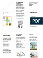 Triptico Biocombustibles v.2