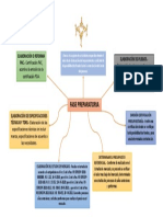 Mapa Mental Fase Preparatoría