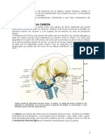 Desarrollo de La Cabeza. Neurocráneo. 2018-02