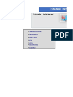 Financial Ratios CFP On Excel