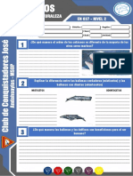 Informe Especialidad Cetaceos Club Jose