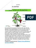 Las Plantas