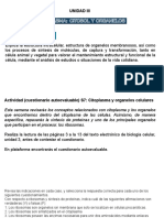 SESION 7 Mapa Mental "Organelos Celulares" y Diagrama "Síntesis de Proteínas" UNIDAD III CITOPLASMA Y ORGANELOS