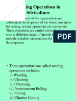 Tending Operations in Silviculture