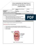 Práctica 8 - GMB - Exudado Faríngeo