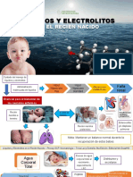 Liquidos Y Electrolitos: en El Recien Nacido