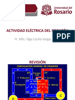 Actividad Eléctrica