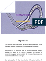 Nematodos Micro