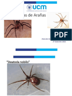 Araña 2021