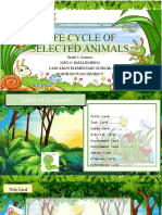 Life Cycle of Selected Animals