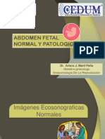 Abdomen Fetal Normal y Patologico