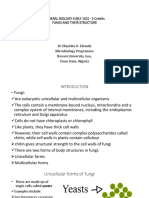 General Biology Ii (Bly 102) - Fungi