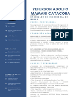 72384597-SE-seguridad y Salud Ocupacional-Yeferson Adolfo Mamani Catacora CV