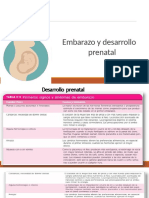 Embarazo y Desarrollo Prenatal