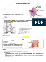 Clase 13 - Enfermedades Anorrectales