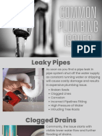 Common Plumbing Issues