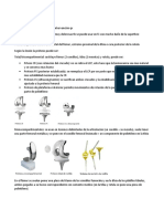 Protesis de Rodilla