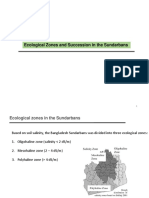 Ecological Zones and Succession in The Sundarbans