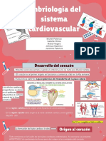 Embriología Cardiaca.