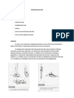 Biomecanica de Codo