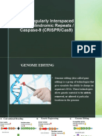 Lesson 1B - CRISPR-Cas9