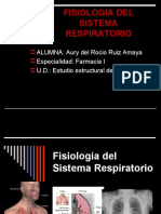 SISTEMA Respiratorio