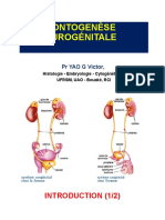 OntogenÃ Se UrogÃ© Nitale L2 2 022