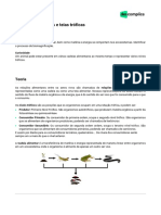 Biologia Cadeias Alimentares