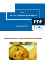 Sesión 11 - Metabolismo de Porfirinas y Bilirrubinas