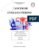 Marco Teorico Del Cancer de Cuello Uterino