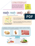 Las Proteínas