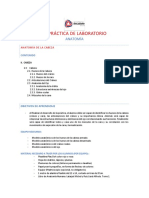 1a Praìctica Lab Anatomia Huesos y Músculos de La Cabeza y Anatomía Del Ojo