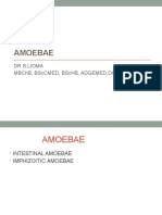 Amoeba - Intestinal and Amphizoitic