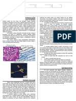 Teoria Celular e Microscópio