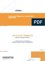 Calculos Termicos 